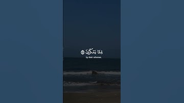 #القرآن_الكريم #بسم_الله_الرحمن_الرحيم #اكسبلور #راحة_نفسية #المصحف #سورة_البقرة #حالات_واتس #لايك