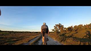 Lyndhurst Brockenhurst Deerleap Loop