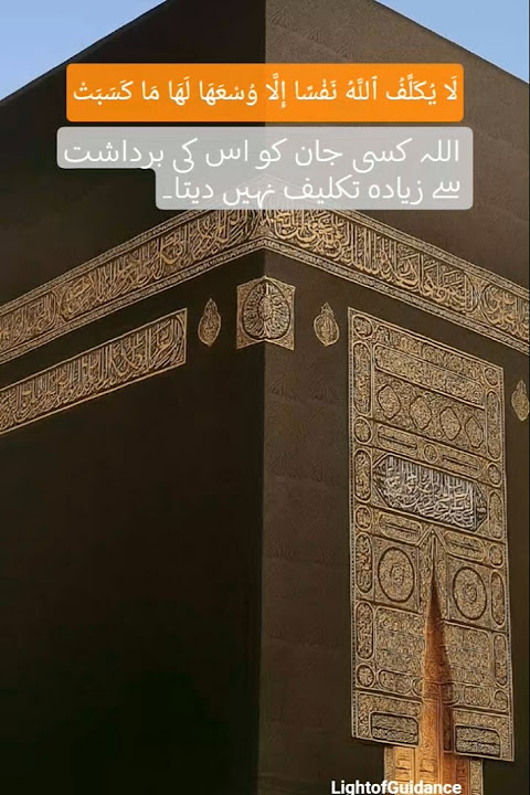Allah kisi jan ko eski bardasht sy ziada taklif nhi daita #quranforpeace #lightofguidance