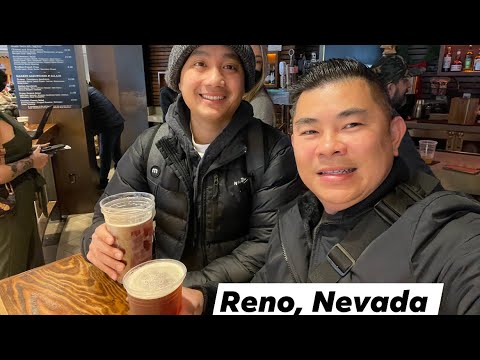 Fortune Tree 🌲 Big Win 🎰 Jili Slot