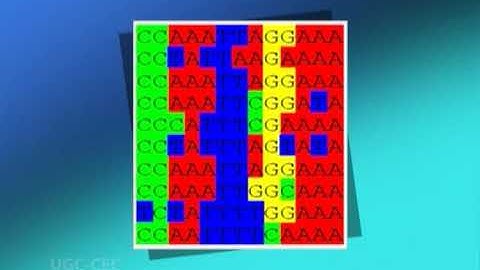 Module V/sequence patterns and profiles part I