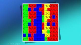 Module V/sequence patterns and profiles part I