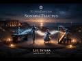 Lux Intera (Inner Light) | Sonora Fluctus Movement VIII | Neoclassical Electronic Journey 2026