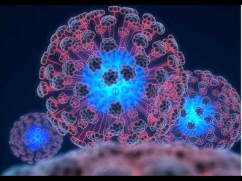 InnerSelf - Shifting Reality