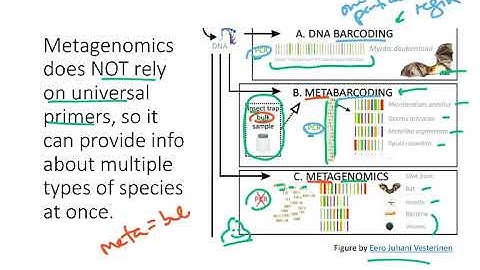 BIO178 Week 3 Species Metagenomics
