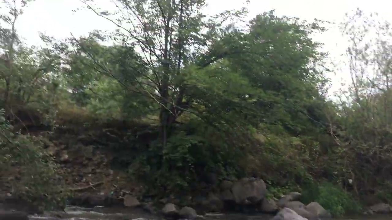 Dmanisi,Georgia 🇬🇪