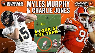 Myles Murphy and Charlie Jones: Analyzing the Pros and Cons | Bengals on the Brain