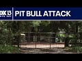 Winter Haven woman hospitalized after foster dog attack inside home