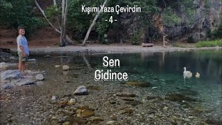 Sen Gidince - Emir Faruk Cırıt (Akustik Cover) Resimi