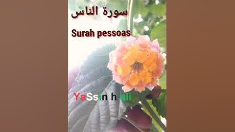 O Alcorão Sagrado em Portugal   القران الكريم باللغه البرتغاليه