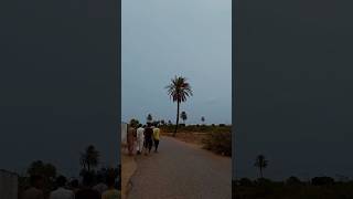 rainy day in village photography nature peace peaceful balochistan bestmovies love