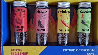 Spicy Crickets Challenge!