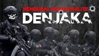 Profil Denjaka TNI AL | Gabungan Taifib dan Kopaska