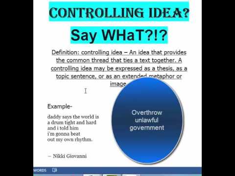 Controlling idea essay example