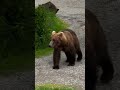#canada #most #naturalbeauty#expancive #look#views_viral_video_subscribers_grow 🇨🇦🇨🇦🤯🤯🤯🤯🤯