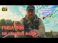 🔥Ловим Хищника На Мелководье: Что Взять С Собой? 🎣✨ Тесты Приманок - Komomo/Malas/Shad Crank и др.