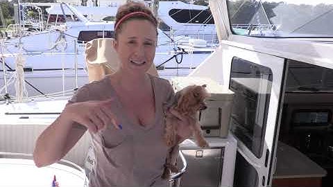 Buying a MILLION Dollar Yacht! - Lazy Gecko Sailing VLOG 98