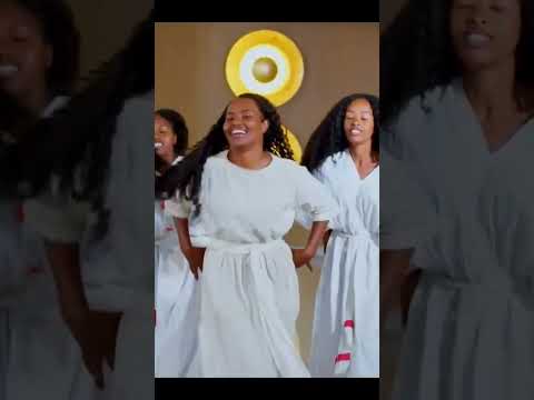 Sona Takala Afrikaa Oromoo Mucia 