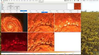 Lecture2 (Part 2): Image Processing with SAOImage DS9 Software
