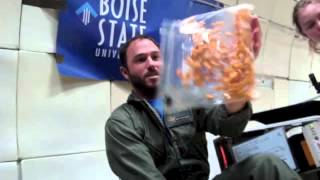 Boise State University Microgravity Flight 2012