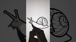 How To Draw Animals | Drawing and Coloring a Snail #art #drawing #howtodraw #animals