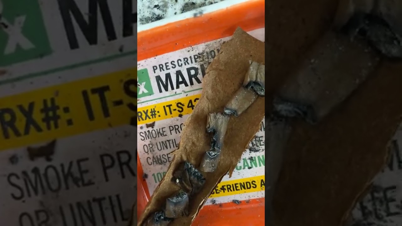 The Roach Blunt | Weed Joke 5 