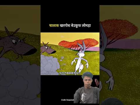 चालाक खरगोश बेउकूफ लोमड़ा 🤣 #shortvideo#trending#funnyshorts