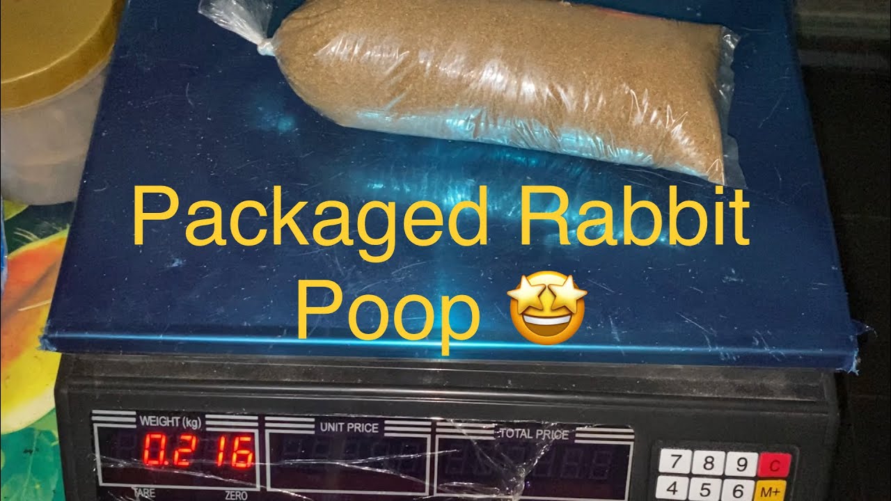Grinding and packaging rabbit poops! #MoneyPoop #Rabbit # ...