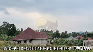 NJAGALA ASUBULA PLOT ENO ERIWO EMU ESANGIBWA NKOWE KUMPI NEKUBO NJAGALA ASUBULA PLOT ENO ERIWO EMU ESANGIBWA NKOWE KUMPI NEKUBO