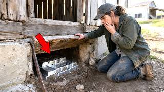 They Left Her a Worthless Farm in the Will — Until She Dug Underneath the Barn