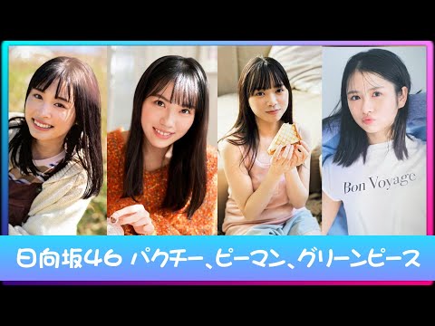 日向坂46 9th 三期曲 『パクチー、ピーマン、グリーンピース』中日翻譯  ( 高橋未來虹 x 森本茉莉 x 山口陽世 x 上村ひなの )
