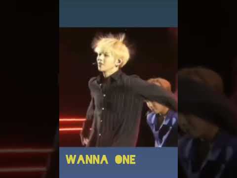 Electric Kang Daniel Jihoon And Sungwoon Laught At Him Wannaone Kang Daniel