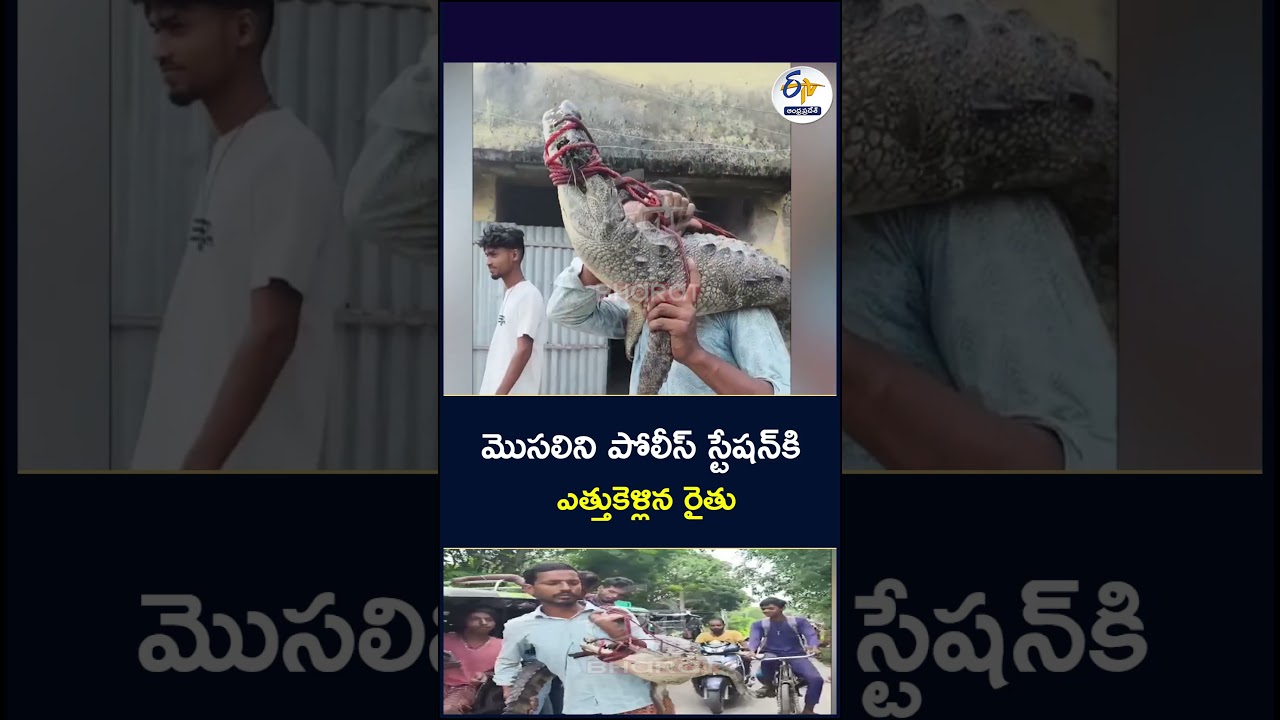 మెుసలిని భుజాలపై పోలీస్ స్టేషన్కి ఎత్తుకెళ్లిన రైతు APG