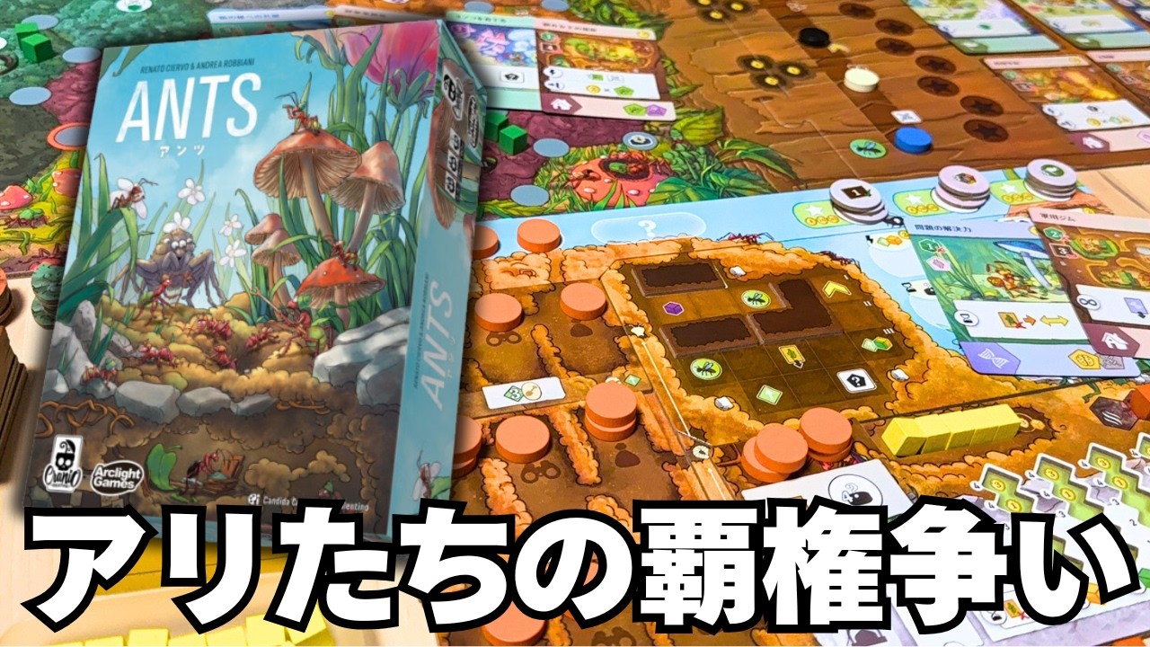 【ANTS アンツ】アリを育てて探索に派遣して覇権争いする中重量級ボドゲ【ボードゲーム】