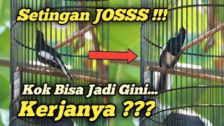 SETINGAN TERBAIK !!! MENGATASI KACER LAMBAT KONSLET