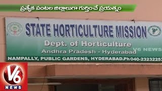 Sagubadi | Techniques for Vegetable cultivation | Department of Horticulture - V6 News