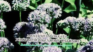 Muhammed Gökkaya Yürüyorum Dikenlerin Üstünde
