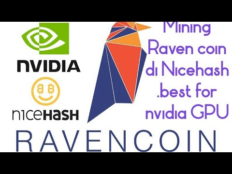 Mining Ravencoin Di Nicehash Pool Otomatis Diubah Ke Btc Best For Nvidia Gpu Youtube