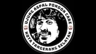 Iwan Fals - Sore Tugu Pancoran(Live HQ)