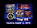 Seleção Vaneira Gospel 2019 / /  Música Gaúcha Gospel