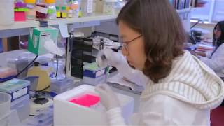 The Cancer Research Institute at BIDMC
