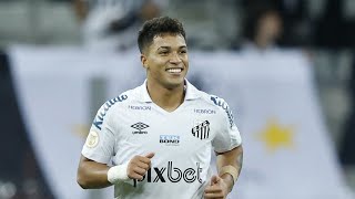 UIdMHzsVvbU Video Image