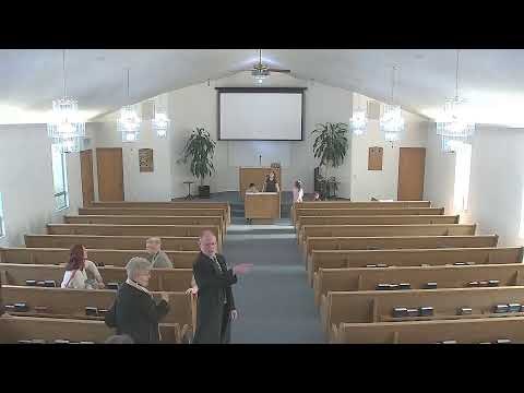 Video preview