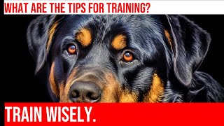 Train Your Rottweiler: Tips & Tricks for Success