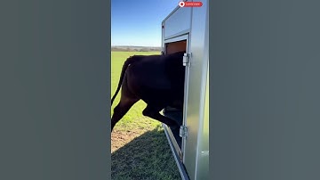 This machine is incredibly practical and easy to use, and you can operate it effortlessly. #farming