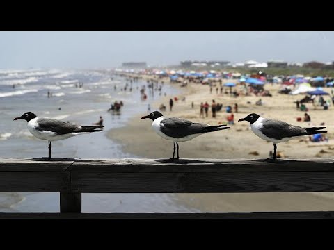 فيديو: قضاء الإجازات على ساحل تكساس