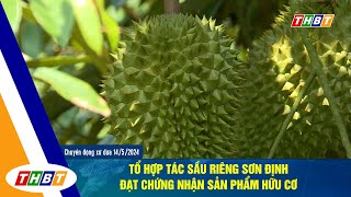 Tổ hợp tác sầu riêng Sơn Định đạt chứng nhận sản phẩm hữu cơ