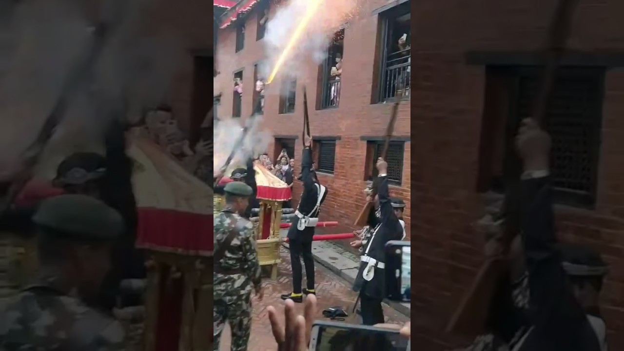 Let me shoot some butterflies 