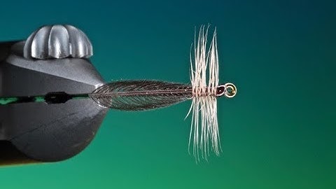Fly Tying the Slim Jim stonefly with Barry Ord Clarke