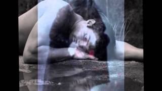 El Verdadero Amor Perdona   ( Mana ft Prince Royce )